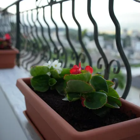Paris Apartment Gjirokastër